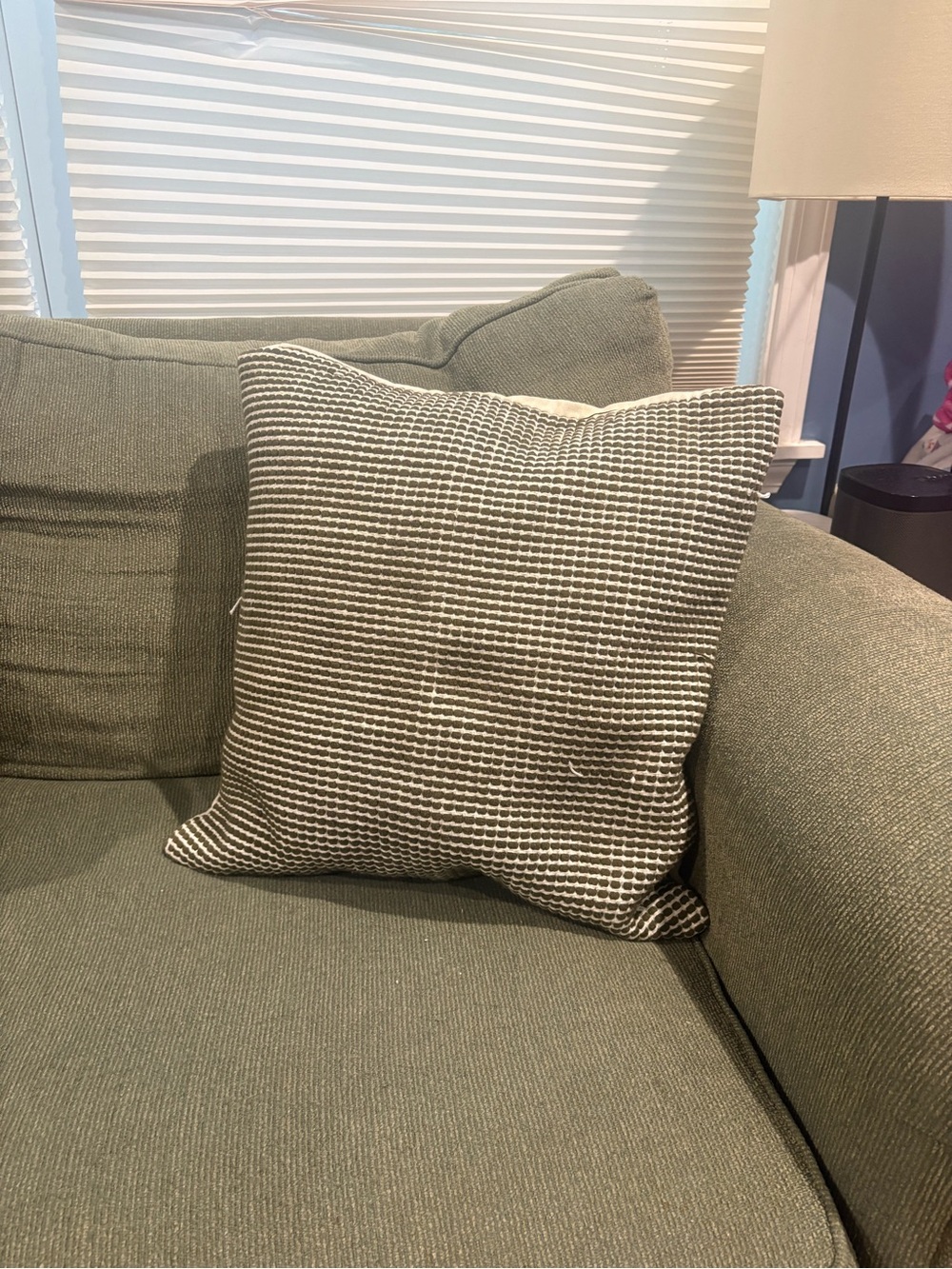 West Elm Textured Woven Accent Pillow in Sage and Cream